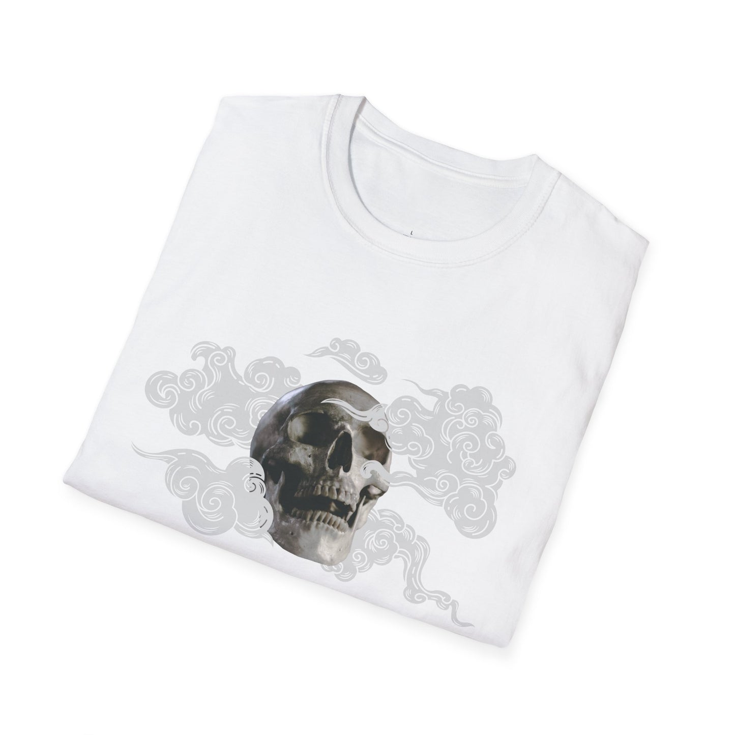 Skull in the Clouds: Artistic Unisex Softstyle T-Shirt