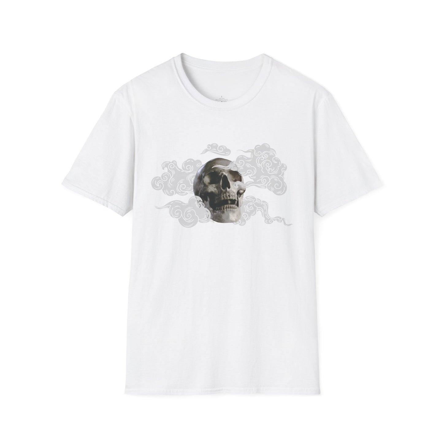 Skull in the Clouds: Artistic Unisex Softstyle T-Shirt